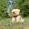 Pluszowy Shar Pei 30 cm Ekologiczny Podgląd zdjęcia produktu 7