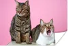 MuchoWow® Poster Katze - Rosa - Pouf - Mädchen - Kinder - Produktbild-Vorschau 2