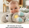 Vydra na spanie Fisher-Price Náhľad obrázku produktu 21