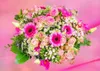BLUEBIRD Puzzle Bouquet de roses roses 500 pièces Voir les images du produit 1
