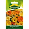 Quedlinburg Calendule Fiesta Gitana Miscela - Semi di fiori Anteprima dell’immagine prodotto 1