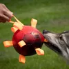 Dog Comets Ball Hypernova - Grün Náhľad obrázku produktu 2