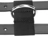 Busse Longiergurt PROFESSIONAL-LEDER, Größe:Warmblut, Produktbild-Vorschau 2