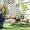 PawHut Hundeliege Outdoor, Erhöhtes Hundebett für Produktbild-Vorschau 2