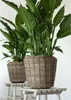 Rattan-Trockentopf – ø 42 x 44 cm – Drypot - Übertopf mit Produktbild-Vorschau 4
