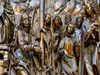 CALVENDO Puzzle Das Bild zeigt einen Ausschnitt aus dem Produktbild-Vorschau 3