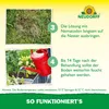 Neudorff Nützlinge gegen Ameisen – 10 Mio. SF-Nematoden Produktbild-Vorschau 6