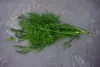 Dill Dillsamen Früh Zum Beizen 5G Produktbild-Vorschau 15