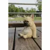 Socha buldoga, živicový ornament, živicová figúrka psa Náhľad obrázku produktu 7