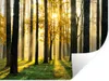 MuchoWow® Wandtattoo Wandsticker Wandaufkleber Wald - Sonne Produktbild-Vorschau 1