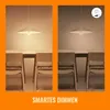 WiZ Lampadina Smart Filament Ambrata Dimmerabile Luce Anteprima dell’immagine prodotto 9