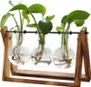 Pflanzenvasen, Terrarium-Stecklinge – Holzhalter mit Glas – Produktbild-Vorschau 8