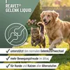 REAVET Gelenk Liquid Tropfen für Hunde & Katzen 100ml I zur Produktbild-Vorschau 2