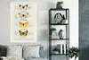 MuchoWow® Poster Schmetterling - Vintage - Insekten 80x120 Produktbild-Vorschau 4