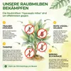 Power Raubmilben gegen Trauermücken und Rote Vogelmilbe -1x Produktbild-Vorschau 2
