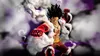 BANDAI NAMCO Entertainment One Piece: Pirate Warriors 4 Produktbild-Vorschau 5