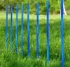 10 Agility-Slalomstangen, Agility-Profi-Set, Hunde Groß für Produktbild-Vorschau 2
