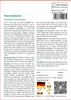SAFLAX - Passionsblume - Passiflora incarnata - 5 Samen Produktbild-Vorschau 3