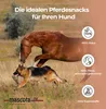 A horse and a German Shepherd dog running in a grassy field. Produktbild-Vorschau