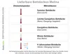 Bettdecke 135x200 4-Jahreszeiten Schurwolle Baumwolle 4 Produktbild-Vorschau 2
