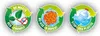 Toi-Toys - SPLASH Super Splashballs 5cm (50 ks) Vodné gule Náhľad obrázku produktu 5