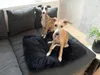 Mäkký vankúš pre psa/mačku ROYAL PET 75x60 cm, čierny Náhľad obrázku produktu 6