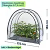 Robustes Foliengewächshaus und Überwinterungszelt, Produktbild-Vorschau 2