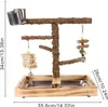 Stabilní stojan pro papoušky (35,6 × 26 × 34 cm) – Náhled obrázku produktu 2