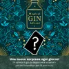 BOXILAND® calendario avvento gin 2026, 24 tipi da 0,02 l, Anteprima dell’immagine prodotto 3