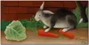 Coloray Bild aus Leinwand 120x60 Leinwand Dekoration - Produktbild-Vorschau 1