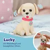 BABY born fiets met Lucky Productafbeelding-voorbeeld 15