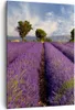 Bild auf Leinwand - Leinwandbild - Einteilig - Landschaft Produktbild-Vorschau 1