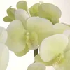 Blumengesteck Orchideengesteck Tischgesteck Tischdeko Produktbild-Vorschau 3