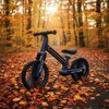 Trike Fix KX2867 Laufrad mit LED-Beleuchtung, dunkelblau Produktbild-Vorschau 11