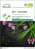 SAFLAX  -- Ciboulette - 250 graines - Allium Voir les images du produit 1