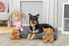 TRIXIE Hundespielzeug Teddy Plüsch, quietscht - diverse - Produktbild-Vorschau 3