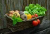 Biohumusové hnojivo pro zeleninu, bylinky a ovoce AGRECOL Náhled obrázku produktu 7