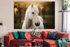 MuchoWow® Poster Pferd - Sonne - Herbst - Tiere - Natur Produktbild-Vorschau 2