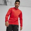 Puma Teamgoal Trainingssweat Herren - Rot Produktbild-Vorschau 3