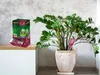 Zamioculcas Pflegedünger Starker Applikator 30 ml Produktbild-Vorschau 5