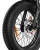 Elektrische fiets Pixar F2, 250W, 48V, 15Ah, schijfremmen - Productafbeelding-voorbeeld 6