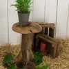 A rustic wooden stump stool with a potted plant and pine cones, placed on straw and moss, with wooden crates in the background. Náhľad obrázku produktu