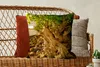 MuchoWow® Zierkissen Sofakissen Wohnzimmer Dekokissen 50x50 Produktbild-Vorschau 5