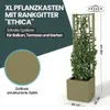 XL Spalier 'Ethica' mit Pflanzkübel Schmal 36x36x140 cm - Produktbild-Vorschau 2