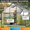 BRAST Gewächshaus Aluminium mit Fundament | 380x250x205cm | Produktbild-Vorschau 6