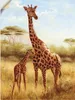 ARTland Wandbild, selbstklebend Giraffe Größe: 30x40 cm Produktbild-Vorschau 1