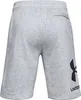 Pánské kraťasy Under Armour Rival FLC Big Logo Shorts L Náhled obrázku produktu 5