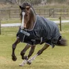 A brown horse wearing a black turnout rug is running in a grassy field with a fence in the background. Produktbild-Vorschau