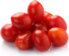 SAFLAX - BIO - Rajče - Principe Borghese - Solanum Náhled obrázku produktu 4