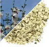 Herbs from Poland Eibisch-Wurzel, Arznei-Eibisch – Produktbild-Vorschau 2